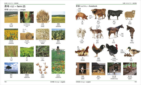 Japanese - English Bilingual Visual Dictionary