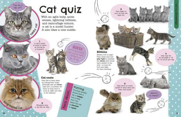 The Fact-Packed Activity Book Animals
