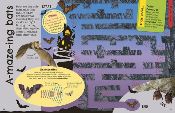 The Fact-Packed Activity Book Animals