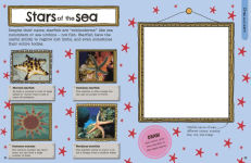 Alternative view 2 of The Fact-Packed Activity Book Sharks and Other Sea Creatures