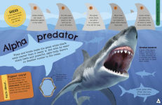 Alternative view 3 of The Fact-Packed Activity Book Sharks and Other Sea Creatures