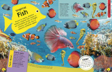 Alternative view 4 of The Fact-Packed Activity Book Sharks and Other Sea Creatures