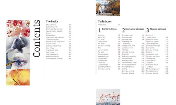 Artist's Watercolor Techniques: Discover How to Paint Landscapes, People and Still Lifes, and Develop Your Own Style