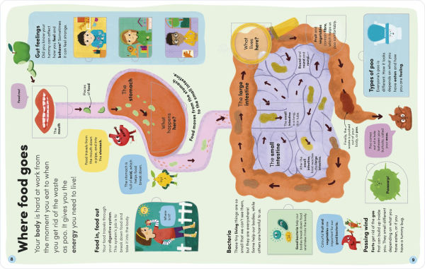 You and Your Body: A First Look Inside the Human Body
