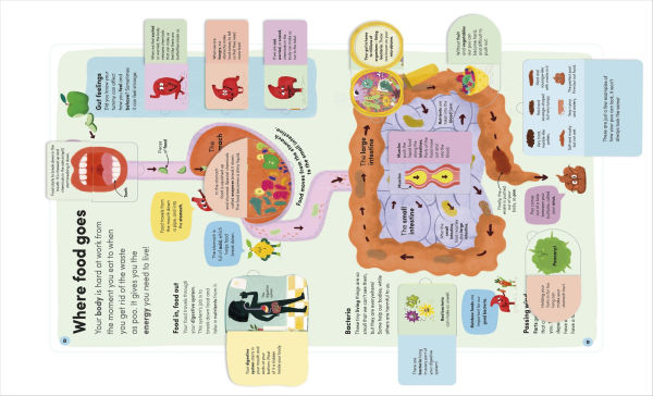 You and Your Body: A First Look Inside the Human Body
