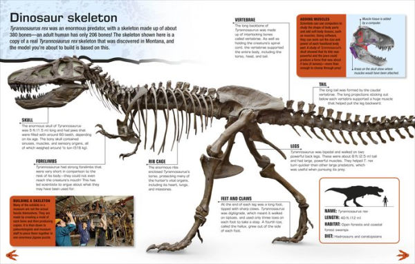 Make Your Own T. Rex: Easy to Build - No Glue, No Mess!