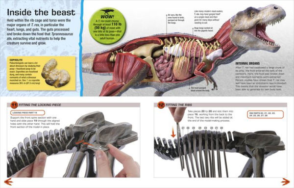 Make Your Own T. Rex: Easy to Build - No Glue, No Mess!