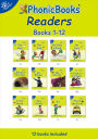 Phonic Books Dandelion Readers Vowel Spellings Level 1 The Mail: Decodable Books for Beginner Readers Vowel Teams