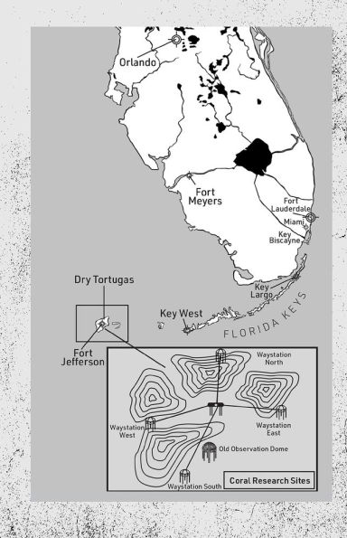 Calypso Down: A Chris Black Adventure