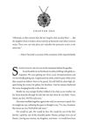 Alternative view 6 of Ricochet
