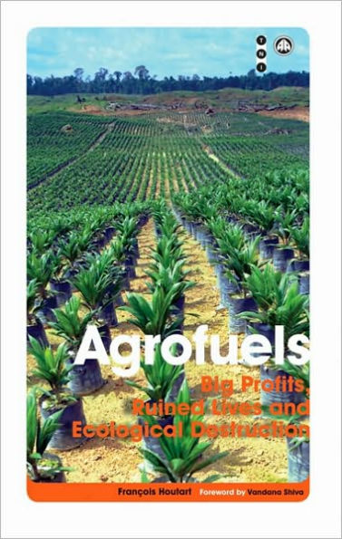 Agrofuels: Big Profits, Ruined Lives and Ecological Destruction