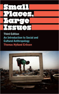 Title: Small Places, Large Issues: An Introduction to Social and Cultural Anthropology, Third Edition / Edition 3, Author: Thomas Hylland Eriksen