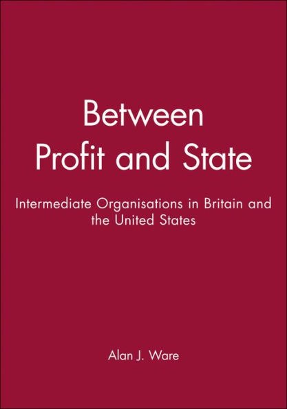 Between Profit and State: Intermediate Organisations in Britain and the United States / Edition 1