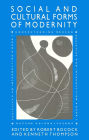The Social and Cultural Forms of Modernity: Understanding Modern Societies, Book III