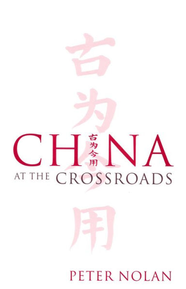 China at the Crossroads / Edition 1