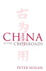 China at the Crossroads / Edition 1