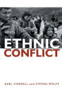 Ethnic Conflict: Causes, Consequences, and Responses / Edition 1