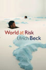 World at Risk / Edition 1