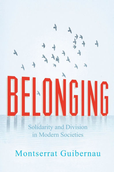 Belonging: Solidarity and Division in Modern Societies / Edition 1