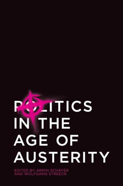 Politics in the Age of Austerity / Edition 1