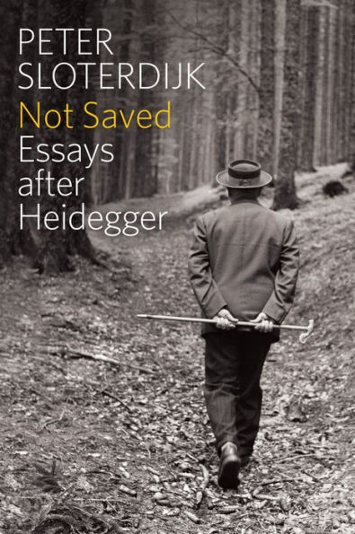 Not Saved: Essays After Heidegger / Edition 1