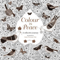 Title: Colour in Peace: A reflective journey, Author: James Newman Gray