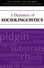 A Dictionary of Sociolinguistics