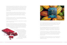 Alternative view 5 of From Bean to Bar: A Chocolate Lover's Guide to Britain