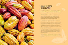 Alternative view 6 of From Bean to Bar: A Chocolate Lover's Guide to Britain