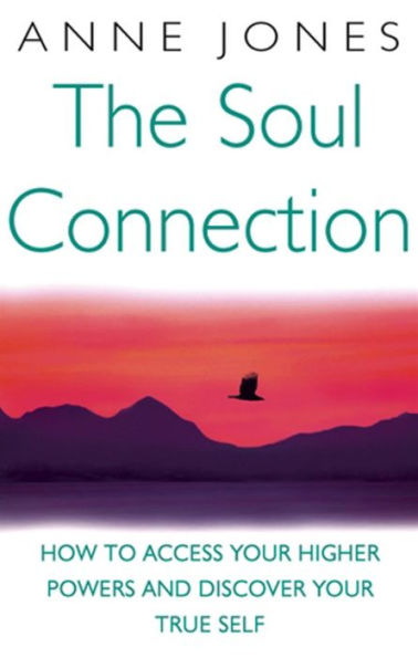 The Soul Connection: How to Access Your Higher Power and Discover True Self