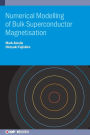 Numerical Modelling of bulk superconductor magnetization