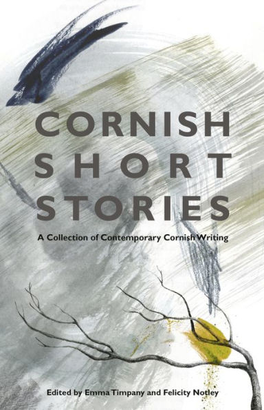 Cornish Short Stories: A Collection of Contemporary Writing
