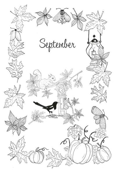 Adventures Nature: Stories, Activities and Inspiration for all the Family