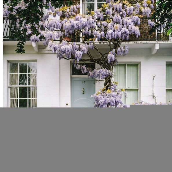 prettycitylondon: The Petite Guide to London's Beautiful Places