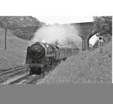 Alternative view 11 of Remembering Steam: The End of British Rail Steam in Photographs
