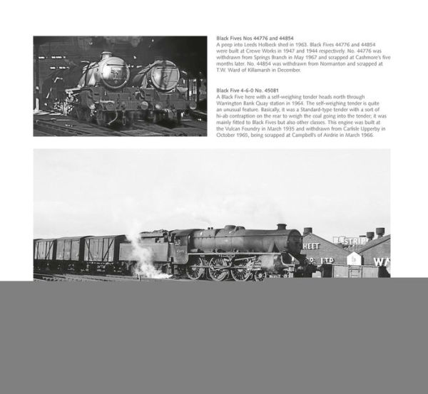 Remembering Steam: The End of British Rail Steam in Photographs