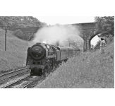 Alternative view 7 of Remembering Steam: The End of British Rail Steam in Photographs