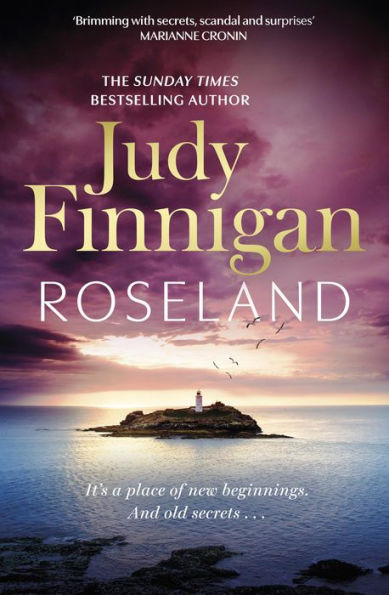 Roseland: the beautiful, heartrending new novel from much loved Richard and Judy Book Club champion