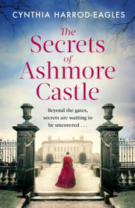 Download free ebooks for ipad The Secrets of Ashmore Castle by  RTF