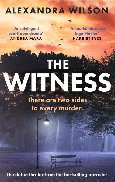 the Witness: most authentic, twisty legal thriller, from barrister author of Black and White