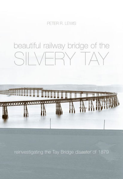 The Beautiful Railway Bridge of the Silvery Tay: Reinvestigating the Tay Bridge Disaster of 1879