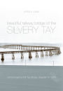 The Beautiful Railway Bridge of the Silvery Tay: Reinvestigating the Tay Bridge Disaster of 1879