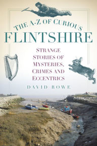Title: The A-Z of Curious Flintshire, Author: David Rowe