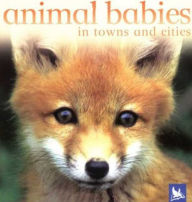 Title: Animal Babies in Towns and Cities, Author: Editors of Kingfisher