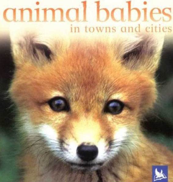 Animal Babies in Towns and Cities