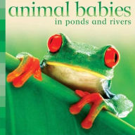 Title: Animal Babies in Ponds and Rivers (Animal Babies Series), Author: Editors of Kingfisher