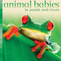 Animal Babies in Ponds and Rivers (Animal Babies Series)