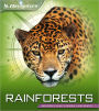 Navigators: Rainforest