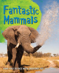 Title: Fast Facts: Fantastic Mammals: Meet some amazing animals, big and small, Author: Editors of Kingfisher