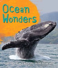 Title: Fast Facts: Ocean Wonders: Come face to face with life in the ocean deep, Author: Editors of Kingfisher